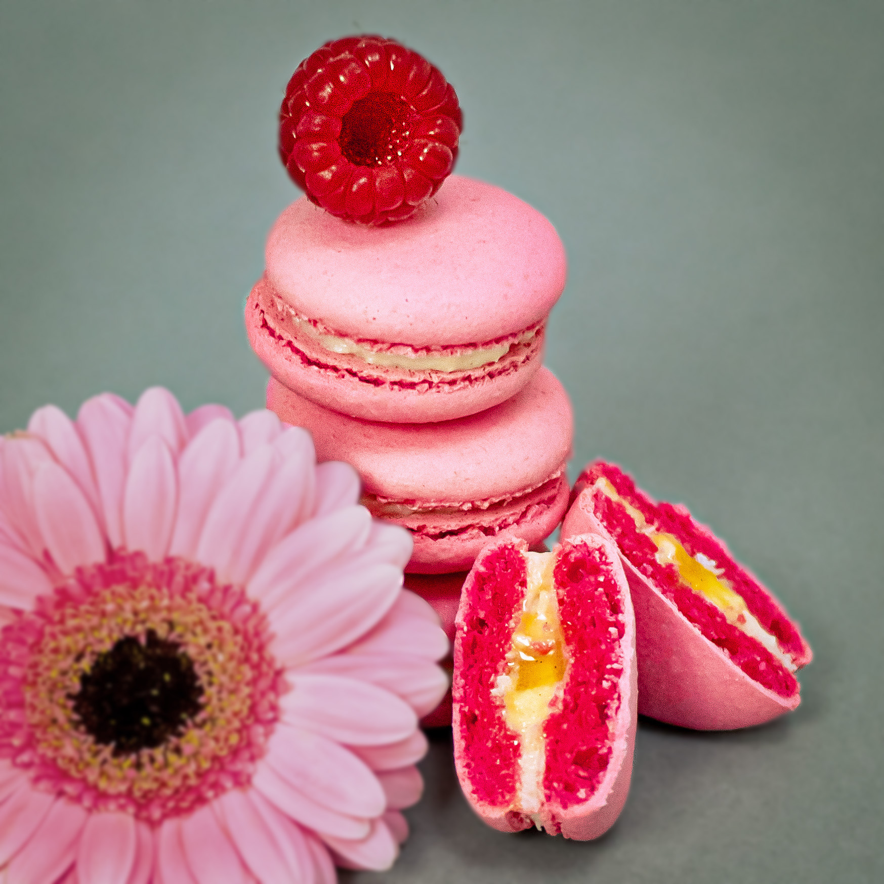 Warsaw Academy of Pastry Arts Szkolenia Cukiernicze Akademia Cukiernictwo Makaroniki