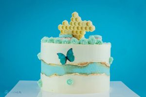 Szkoła Cukiernicza Warsaw Academy of Pastry Arts - Tort w stylu Fault Line Cake – Szkolenie Cukiernicze z Ewą Drzewicką