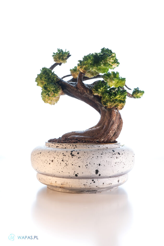 Szkolenie tort artystyczny 3D z elementami rzezby czekoladowej