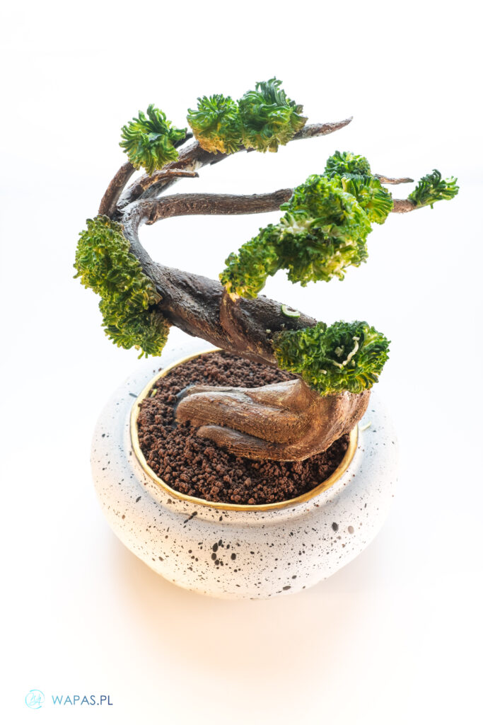 Szkolenie tort artystyczny 3D z elementami rzezby czekoladowej