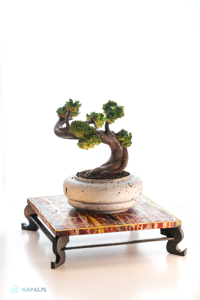 Szkolenie tort artystyczny 3D z elementami rzezby czekoladowej